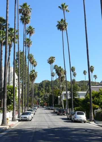 Dresden B & B Los Angeles Dış mekan fotoğraf